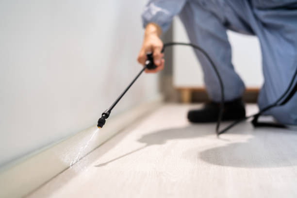 Licensed Emergency Pest Control service in Portsmouth city County, VA - Nex Pest Control