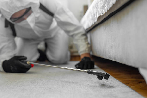 Professional Emergency Pest Control technician working in Portsmouth city County, VA